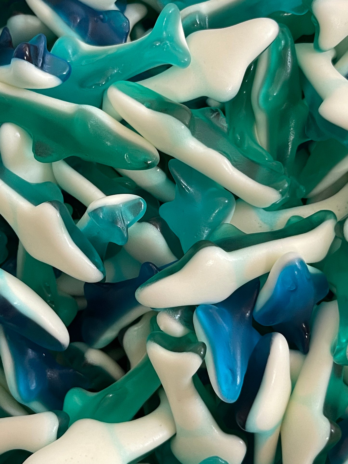 SHARKS